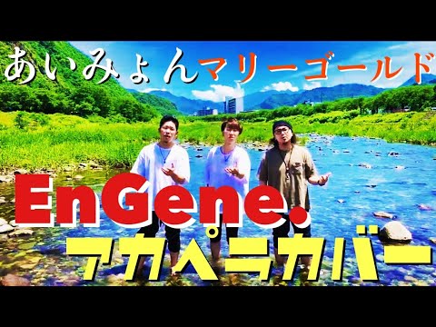 【EnGene.（エンジン）】あいみょん/マリーゴールド【馬見ヶ崎川はまだ超冷たかったアカペラ】