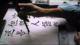 Wang Wei demo in the standard script.wmv