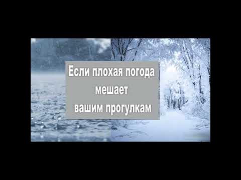 Степпер GymBit «Скандинавская ходьба» - YouTube