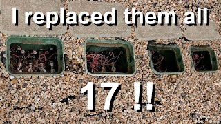 I replaced 17 valves in ONE location! | Learn some valuable intel