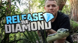 Celebrity DIAMOND PYTHON REHAB & RELEASE AFTER BEING RUN OVER BY A CAR Net Worth