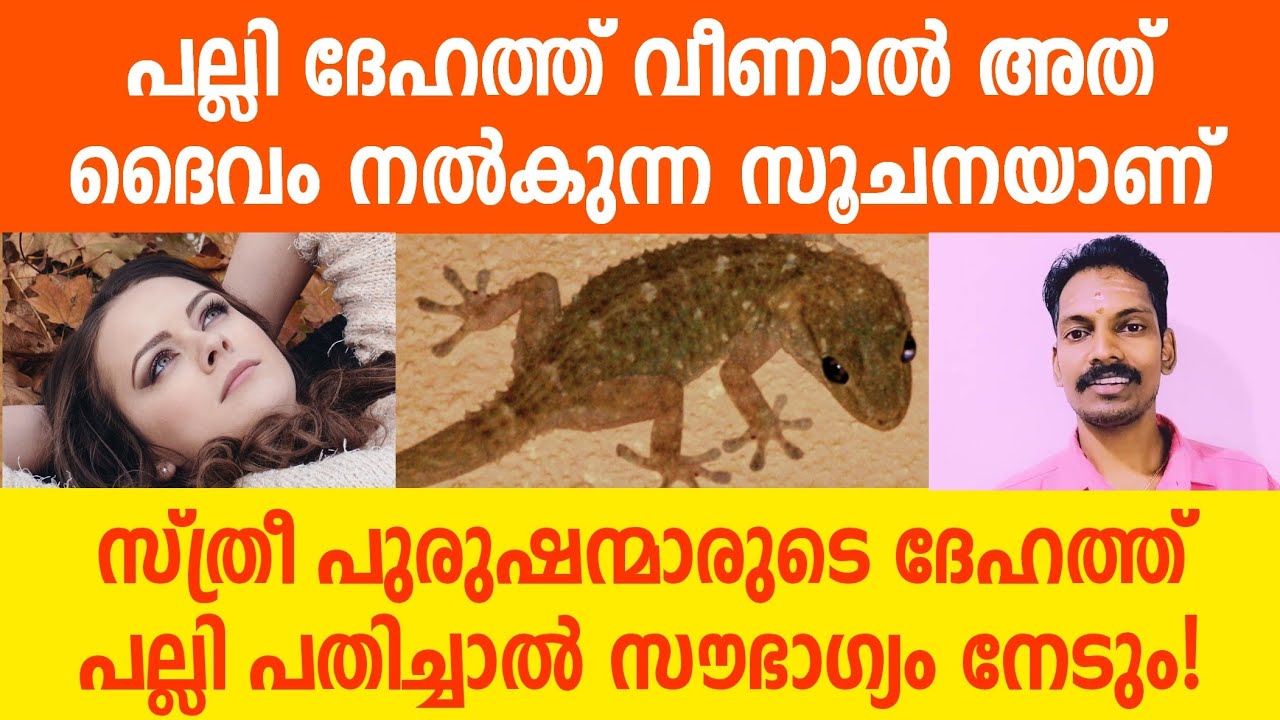 പല്ലി സ്ത്രീ പുരുഷന്മാരുടെ ദേഹത്ത് വീണാൽ അത് ദൈവം കാട്ടിത്തരുന്ന അടയാളമാണ്,അവഗണിക്കരുത്!