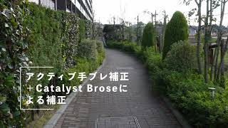 ZV-E10 の手ブレ補正を試した  hayase.tvブログ