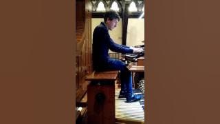 Full organ