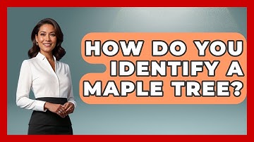 How Do You Identify A Maple Tree? - The Midwest Guru