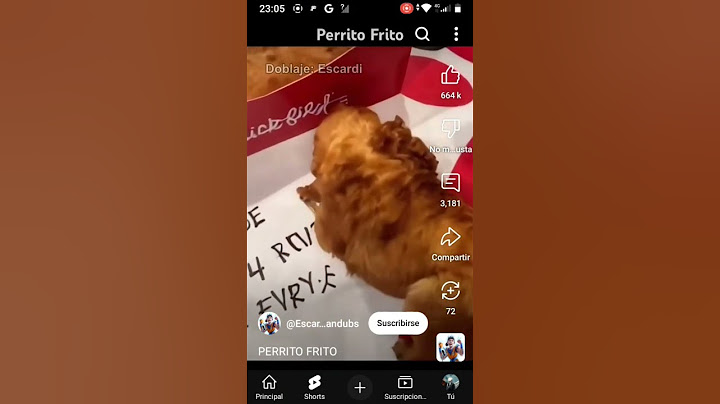 PERRITO FRITO
