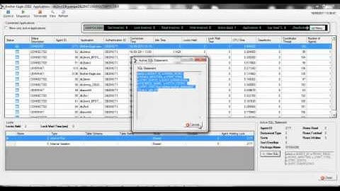 Remote DBA in Action - Brother Eagle®