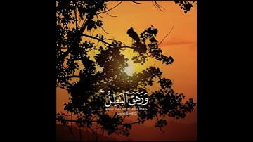 ايه قصيره _ اجمل تلاوه ❤ (وقل جاء الحق وزهق الباطل)