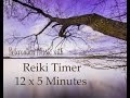 Reiki timer with relaxing music and 5 minute bell timer  12 positions