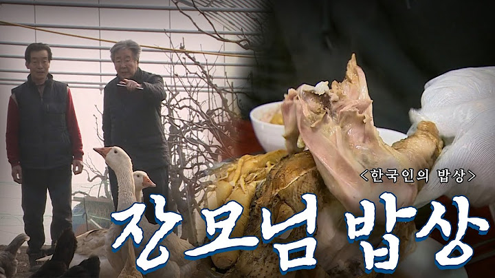 사위에 대한 사랑이 가득 담긴 '장모님 밥상', Korean Food｜최불암의 한국인의밥상🍚 KBS 20190321