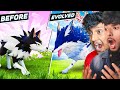 I EVOLVE TO DIREHOWL IN PALWORLD Dattrax Gaming