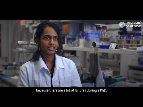 PhD School in