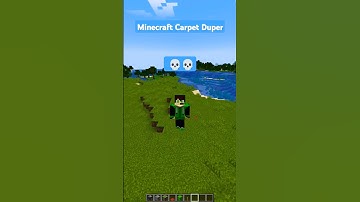Minecraft Carpet Duper #shorts #viral #shortsfeed