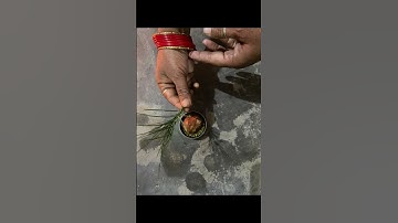 2 मई शुक्रवार के दिन यह उपाय करने से विवाह की रोज़गार की स्वास्थ्य कि समस्या दूर होती है