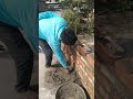 5inc brick wall dewal work| #mistri #construction #home #building #working #work #hardwork #shorts