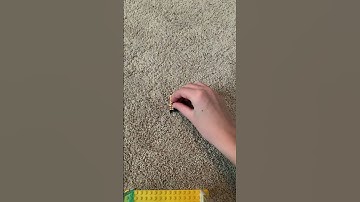 Lego button pusher in under a minute #shorts #youtubeshorts
