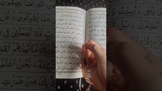 best tasbeeh #love #trending #duet #wazifa #trending #allah #viral #quran#viraltrend #trendingtopic