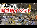 日本最大の爬虫類イベント、ジャパンレプタイルズショーが楽し過ぎた・・・！