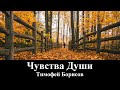 Тимофей Борисов &quot;Чувства Души&quot; _ христианские песни (клип)