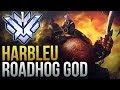 Best of Harbleu - RANK 1 ROADHOG GOD - Overwatch Montage