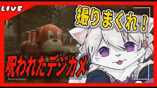 【呪われたデジカメ】呪われた公園にカメラ凸！