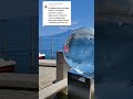 Обожаю Швейцарию . Трудно сюда попасть .