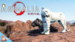 Trying to survive in the savannah as a leopard in Animalia