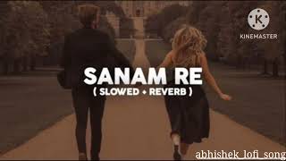 Sanam Re Full video song | PULKIT SAMRAT, Yami Gautam Urvashi Rautela Divya Khosla Kumar