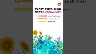 Looking For A 2024 Vbs Curriculum? Compassion Camp What Every Living Thing Needs Focuses On An Ea