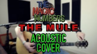 The Magic Numbers - The Mule [Acoustic Cover]