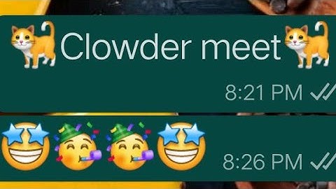 Clowder Meet!! || Fun with Clowdermate || Meow Playground😺