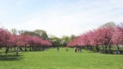 Analysis of Variance Introduction 1