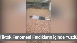 Tiktok fenomeni fındıkların içinde yüzdü Resimi