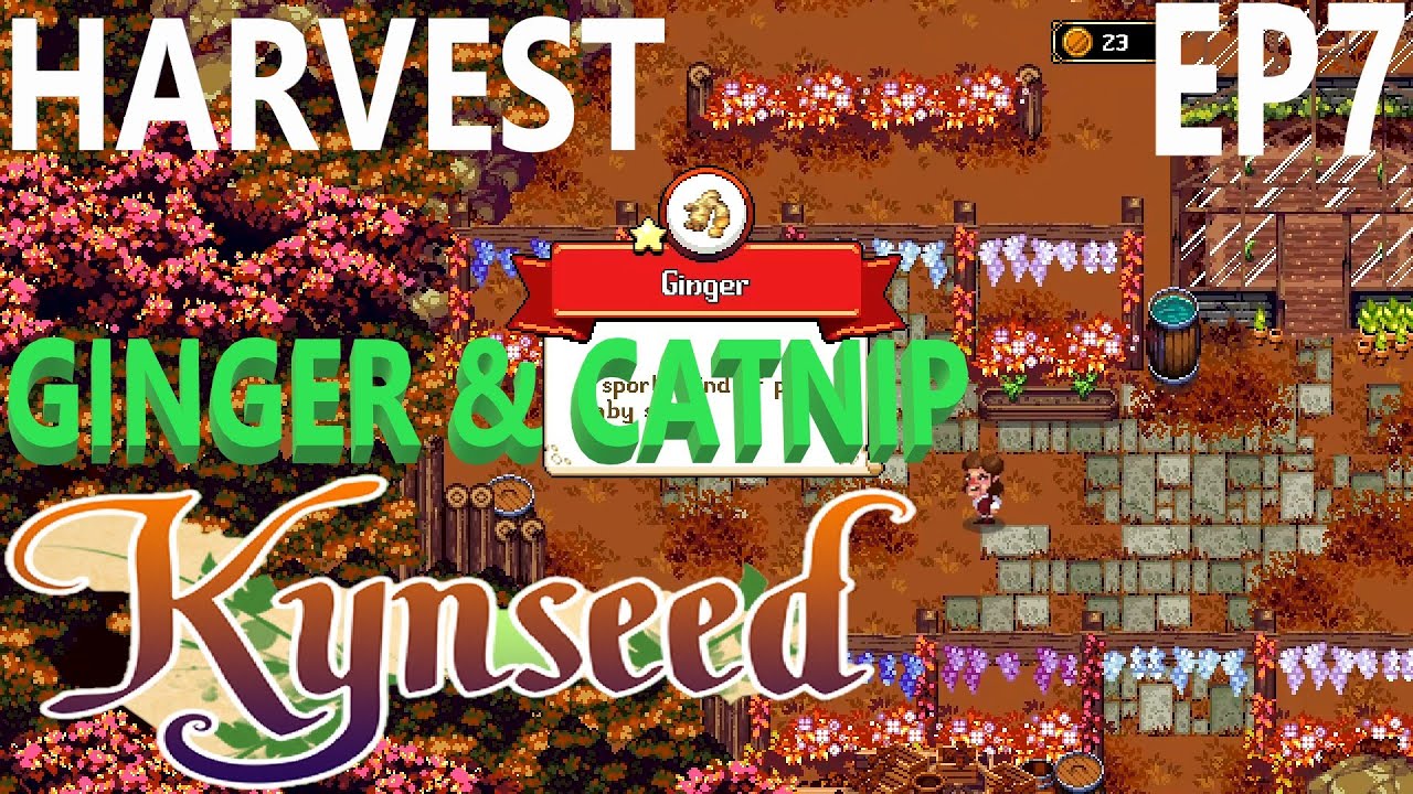 GINGER & CATNIP HARVEST + HODGEPODGESTODGE RECIPE KYNSEED EP7 YouTube