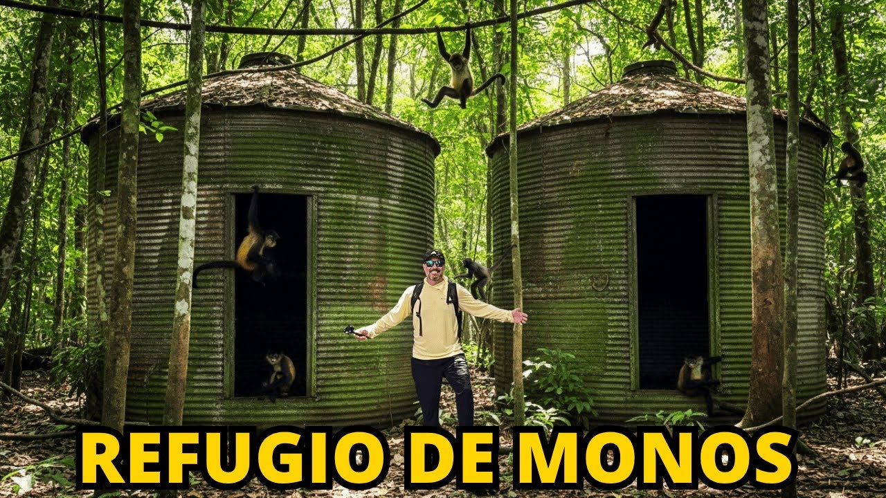 Los MONOS que sobreviven en una HACIENDA ABANDONADA 🐒😱 | Usulután, El Salvador 🇸🇻
