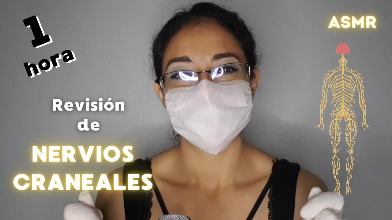 VEN a RELAJARTE con 1 HORA de EXAMEN de NERVIOS CRANEALES 🧠💆‍♂️💆‍♀️ | Roleplay ASMR Kat