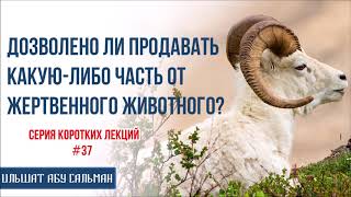 Ильшат Абу Сальман. Дозволено ли продавать какую либо часть от жертвенного животного? Курбан-Байрам Ильшат Абу Сальман. Дозволено ли продавать какую либо часть от жертвенного животного? Курбан-Байрам