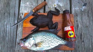 Spicy FAT Frog and SLAB Crappie Catch n' Cook (Personal Best!)