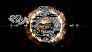 PUAN MANDALA__ MIXTAPE ANCOR DJ!!___(ROHITD SANTUY REMIX TERBARU 2024‼️💃🏻