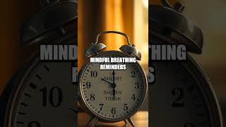 Quiet Zones, Clear Minds: A Productivity Reset