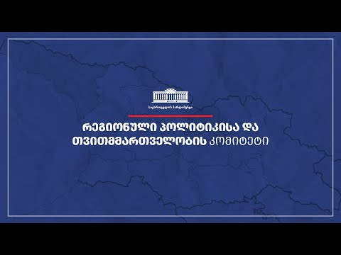 რეგიონული პოლიტიკისა და თვითმმართველობის კომიტეტის სხდომა  - 19.09.2022