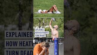 Explained: How heatwaves can kill you