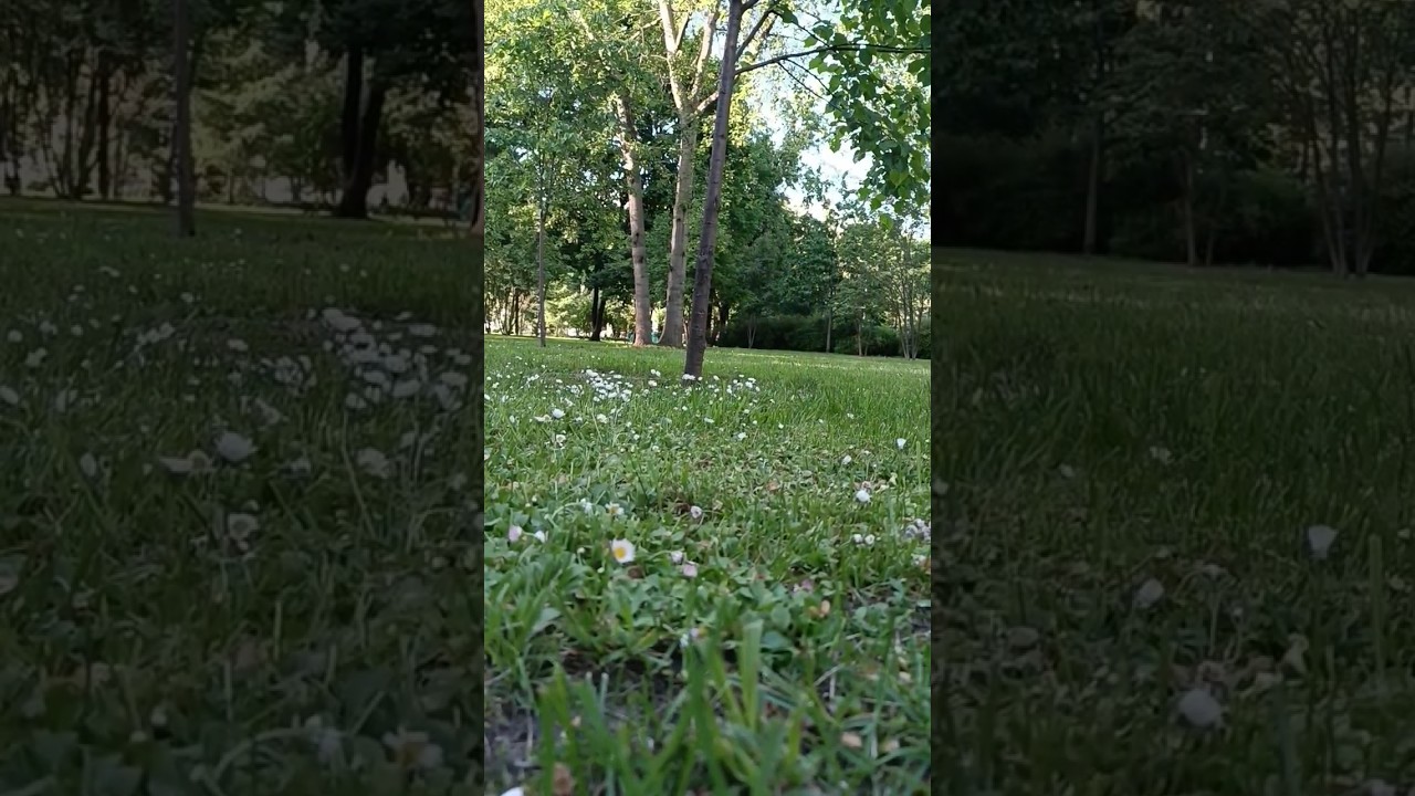 канатная дорога на Воробьевых горах #канатнаядорога #кудасходитьсдетьми ...