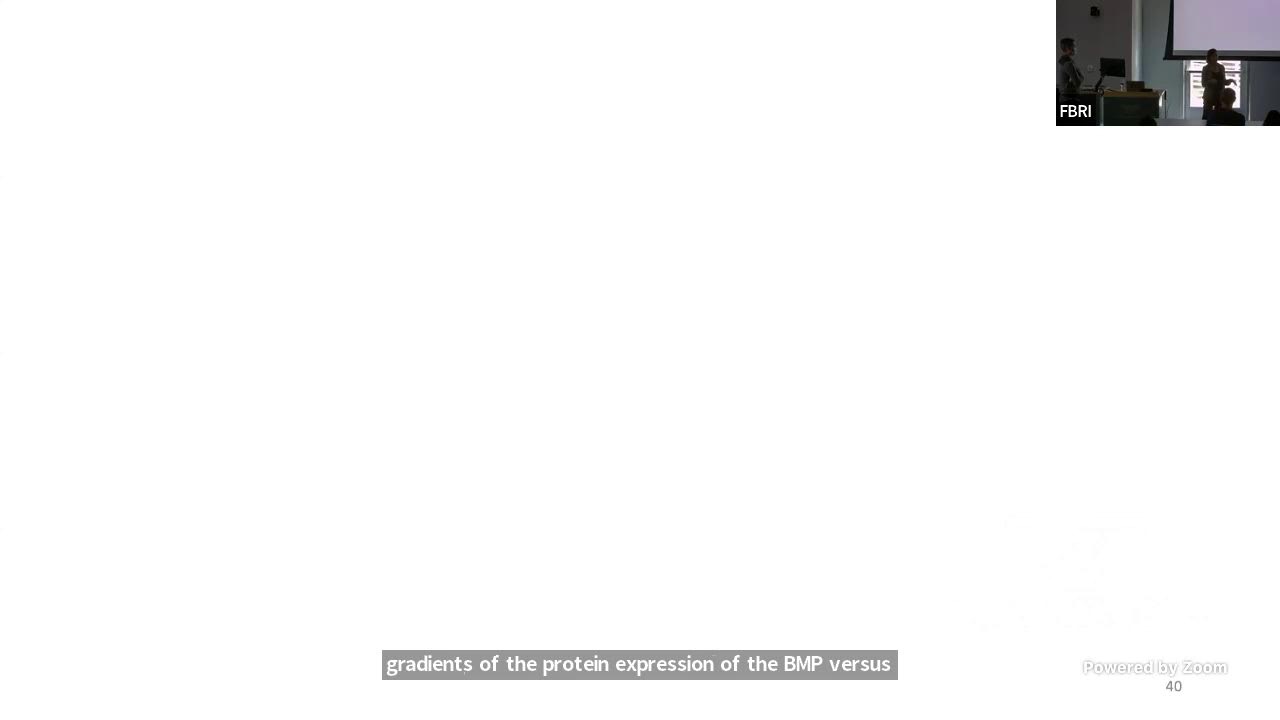 Pioneers in Biomedical Research Seminar: Regulation of Endothelial Cell Specialization