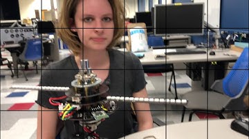 ECE 453 Spring 2019 Persistence Of Vision Display