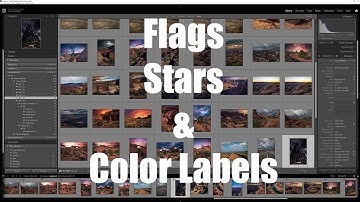 03. Lightroom Classic: Flags, Stars and Color Labels