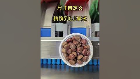 chestnut sorting and grading machine