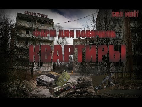 Stalker Online|как заработать новичку|как заработать новичку в сталкер онлайн|фарм в домах|фарм 2021