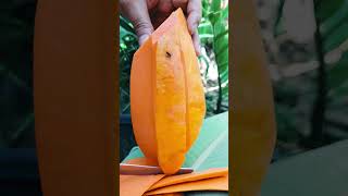 Celebrity Papaya Slice That’ll Calm Your Soul 🍈 #fruitcutting #papayacutting #cuttingskills Profile