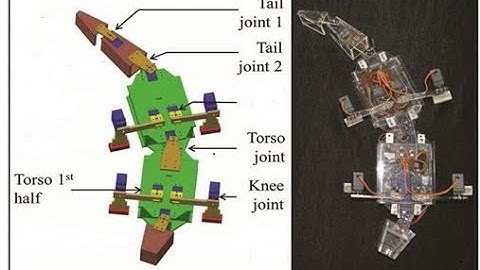 Bayesian Optimization Based Terrestrial Gait Tuning for a 12-DOF Alligator-Inspired Robot
